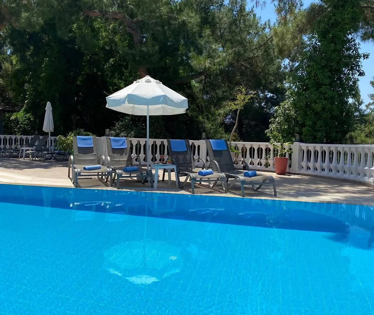 Pine Club Apart Hotel كوشاداسيه بيت ضيافة