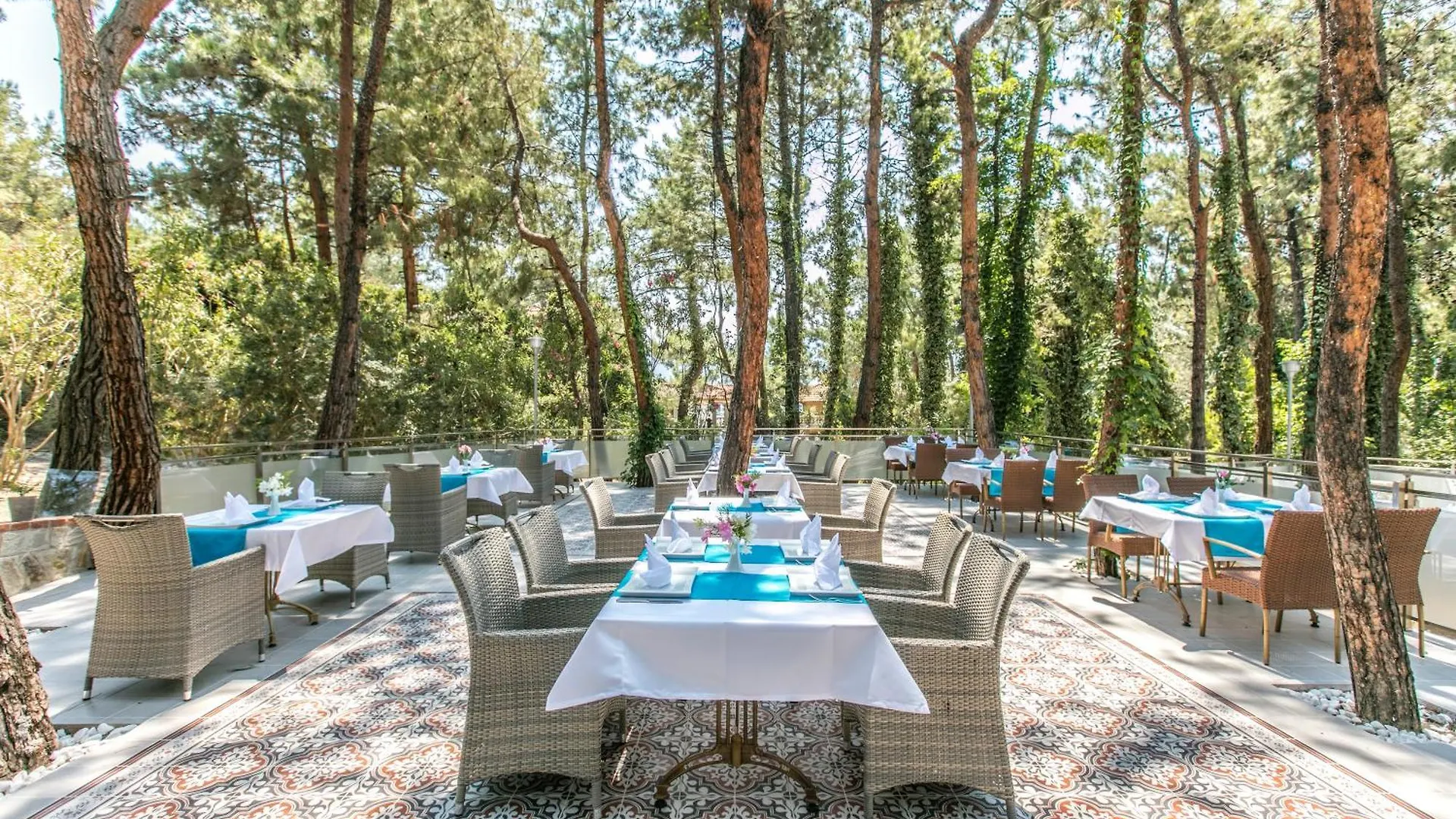 Pine Club Apart Hotel كوشاداسيه 0*,  تركيا