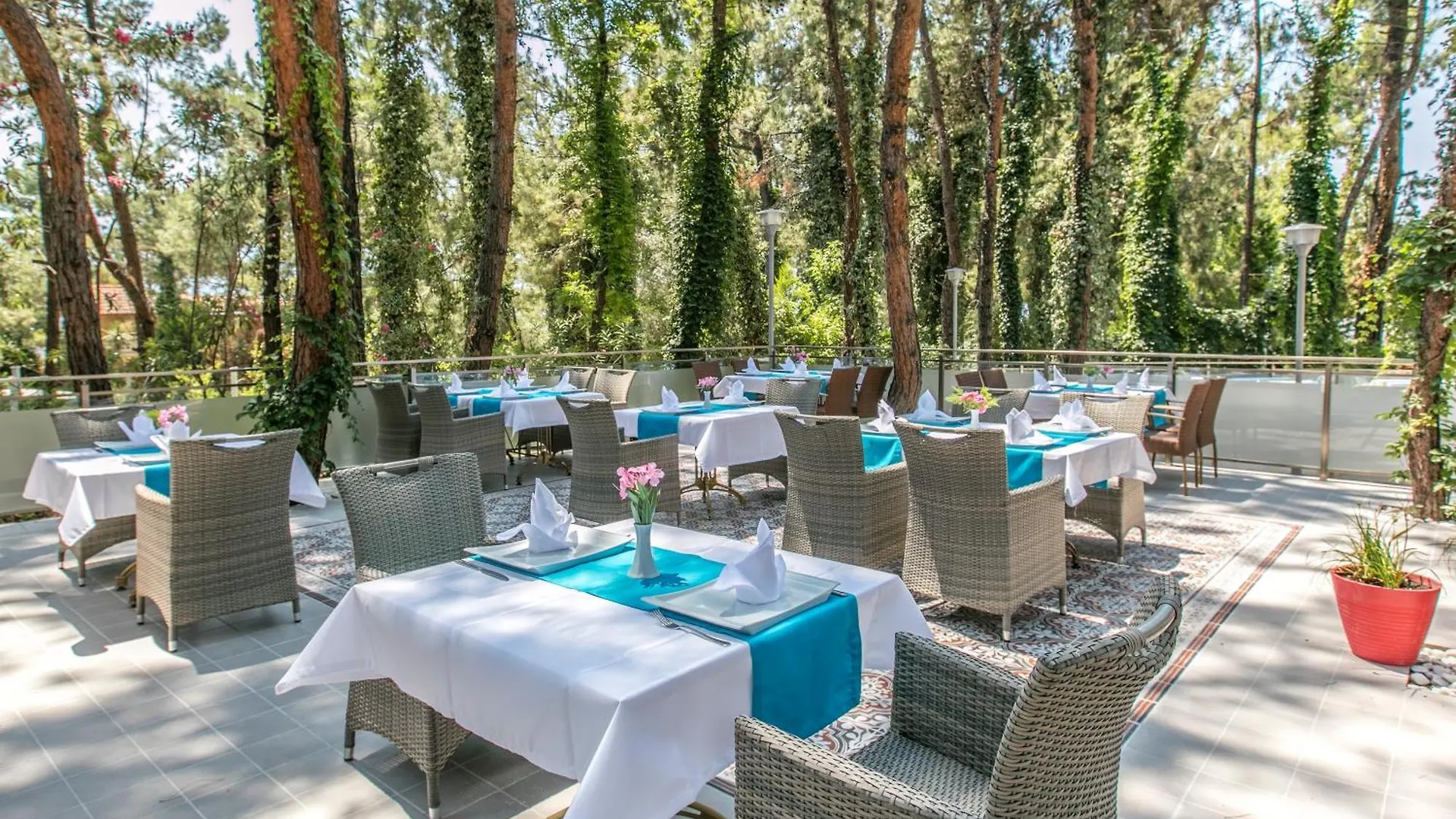بيت ضيافة Pine Club Apart Hotel كوشاداسيه