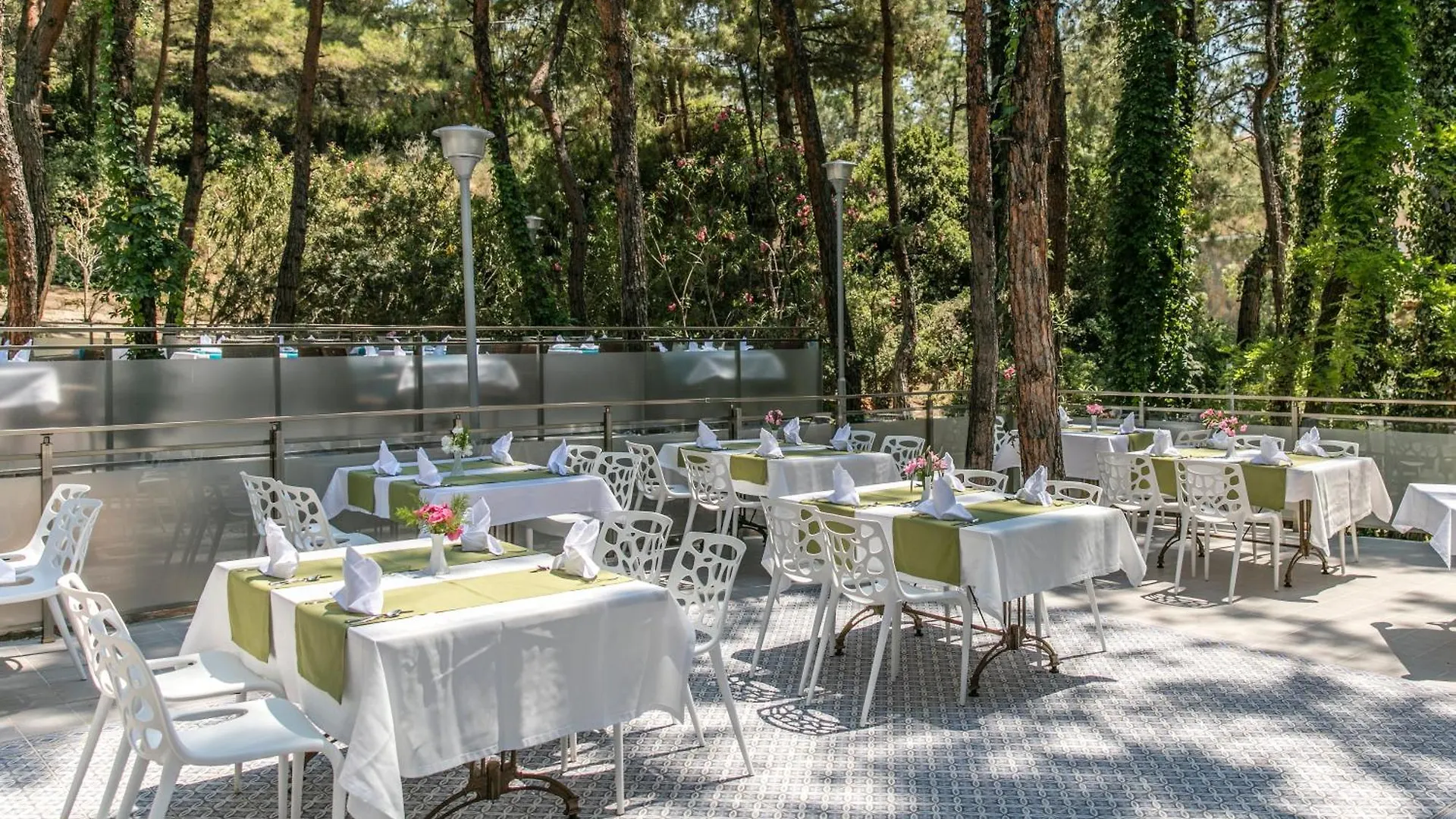 Pine Club Apart Hotel كوشاداسيه تركيا